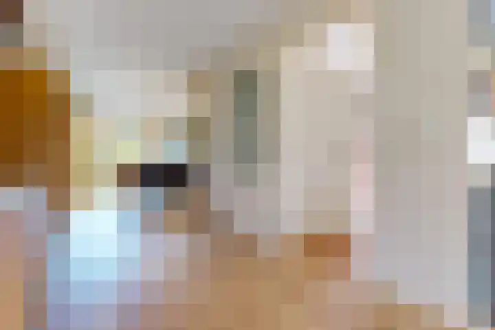 Lavas 11 Hoogkarspel thumbnail 13