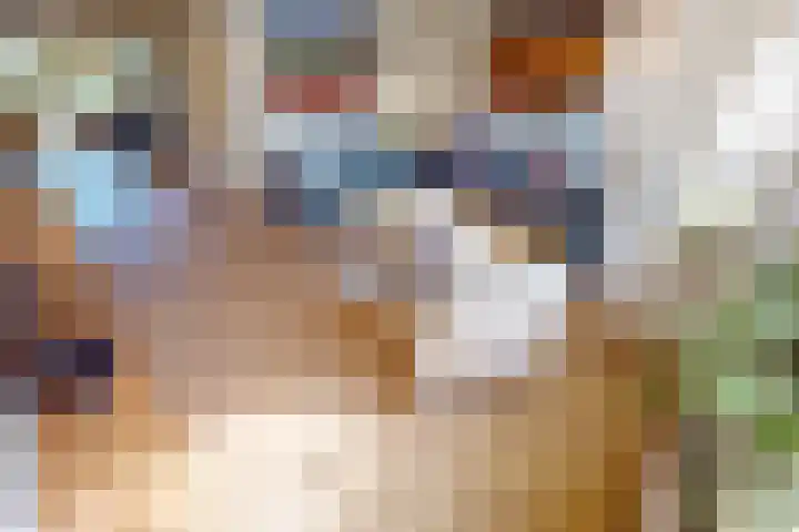 Lavas 11 Hoogkarspel thumbnail 14