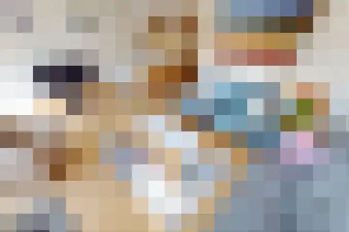 Lavas 11 Hoogkarspel thumbnail 18