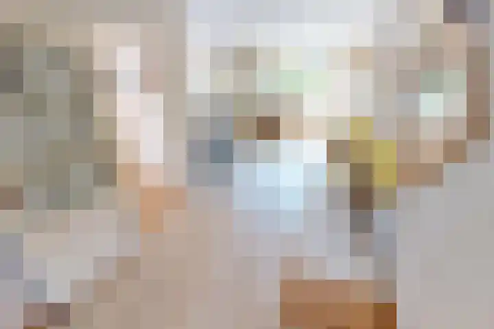 Lavas 11 Hoogkarspel thumbnail 21