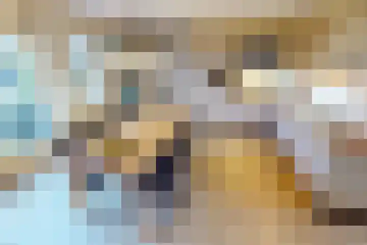 Lavas 11 Hoogkarspel thumbnail 23