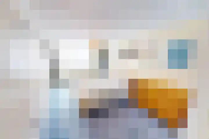 Lavas 11 Hoogkarspel thumbnail 37