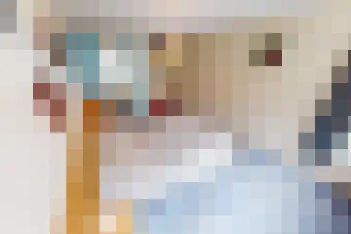 Lavas 11 Hoogkarspel thumbnail 42