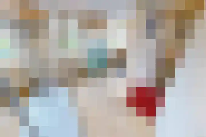 Lavas 11 Hoogkarspel thumbnail 44