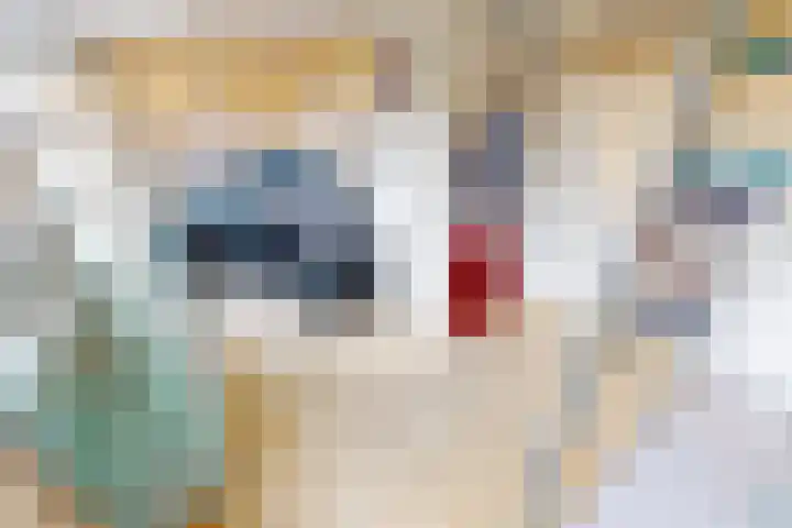 Lavas 11 Hoogkarspel thumbnail 45