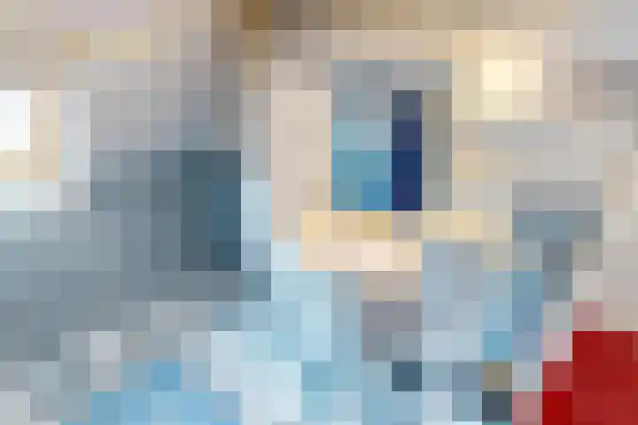 Lavas 11 Hoogkarspel thumbnail 52