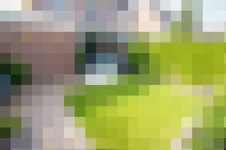 Lavas 11 Hoogkarspel thumbnail 60