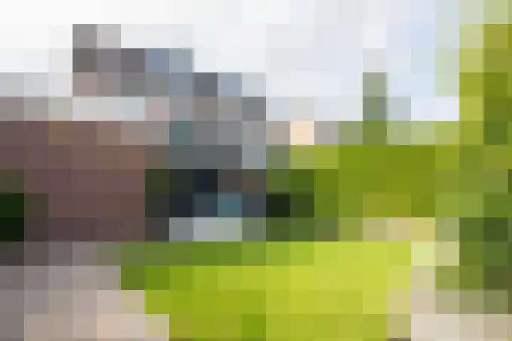 Lavas 11 Hoogkarspel thumbnail 61