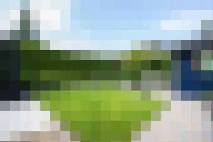 Lavas 11 Hoogkarspel thumbnail 62