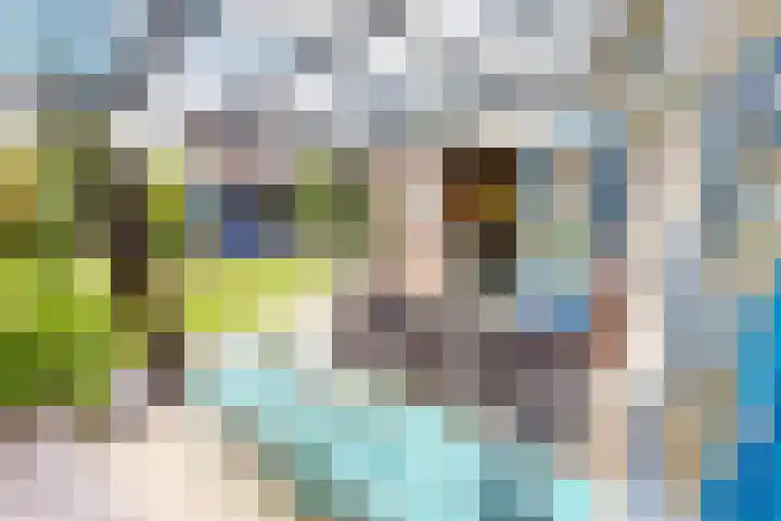 Lavas 11 Hoogkarspel thumbnail 64