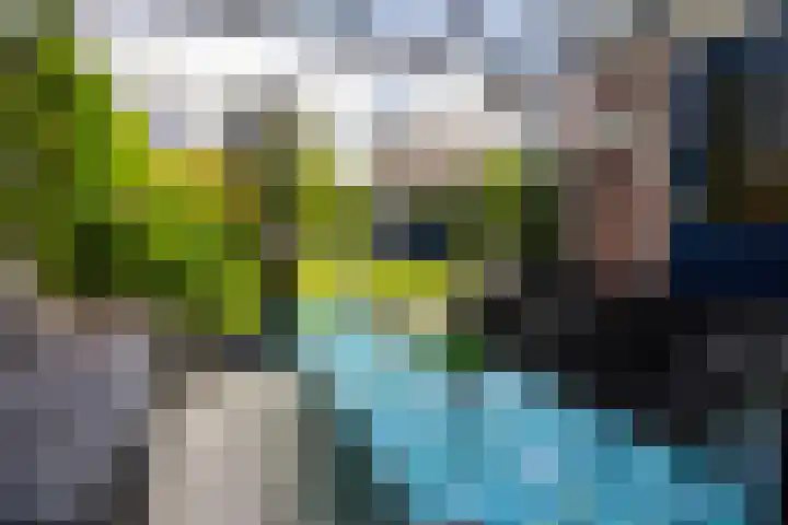 Lavas 11 Hoogkarspel thumbnail 66