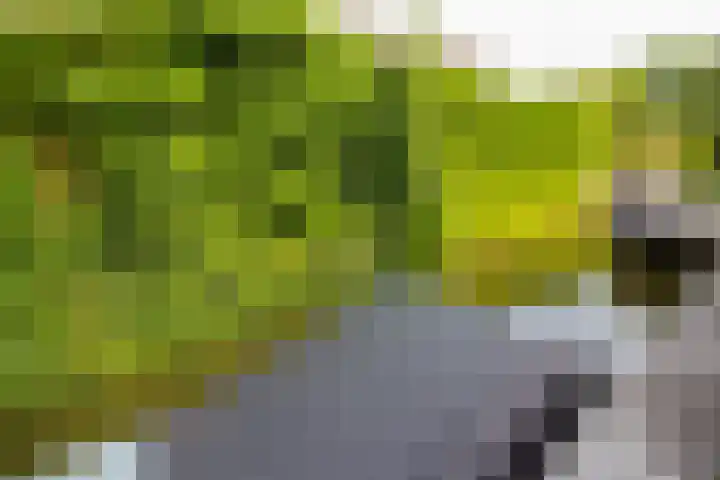 Lavas 11 Hoogkarspel thumbnail 71