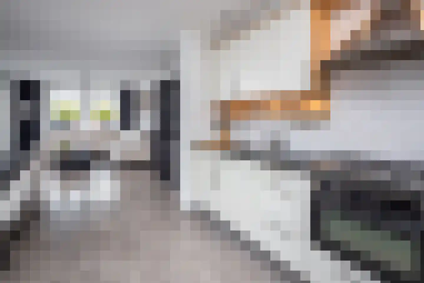 Lavas 4 Hoogkarspel thumbnail 13