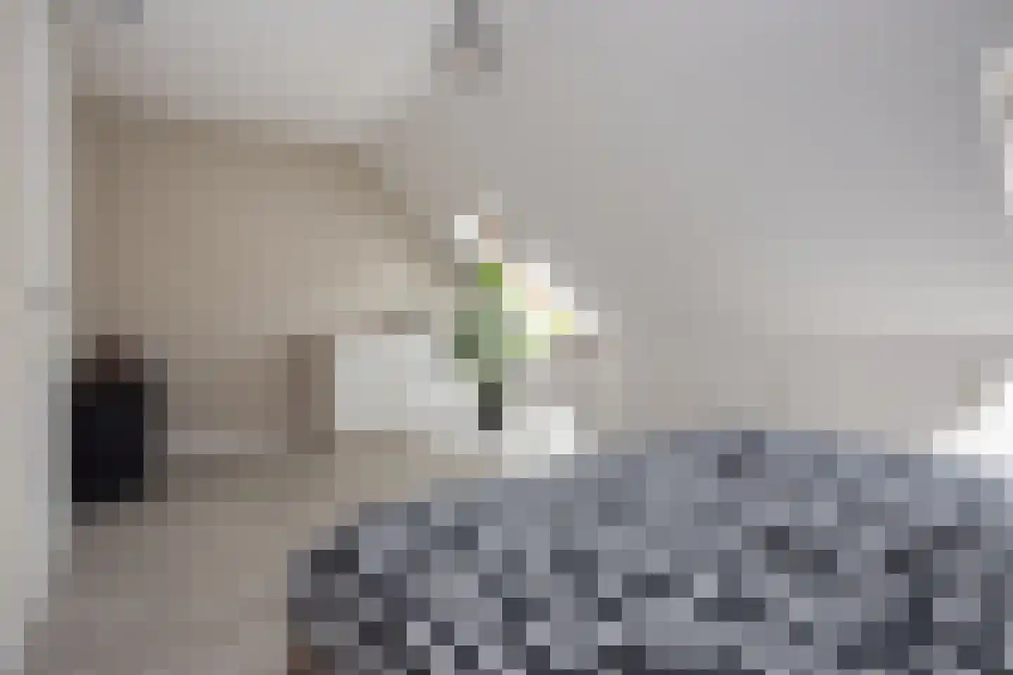 Lavas 4 Hoogkarspel thumbnail 18
