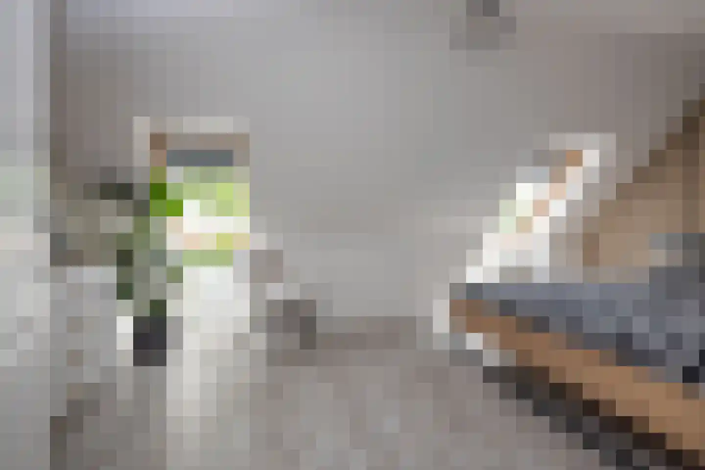 Lavas 4 Hoogkarspel thumbnail 19