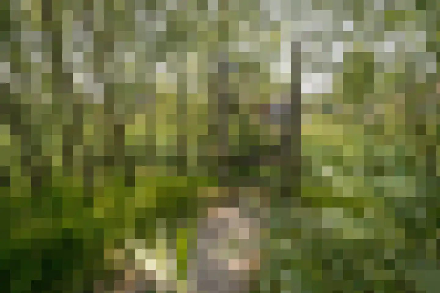 Lavas 4 Hoogkarspel thumbnail 44