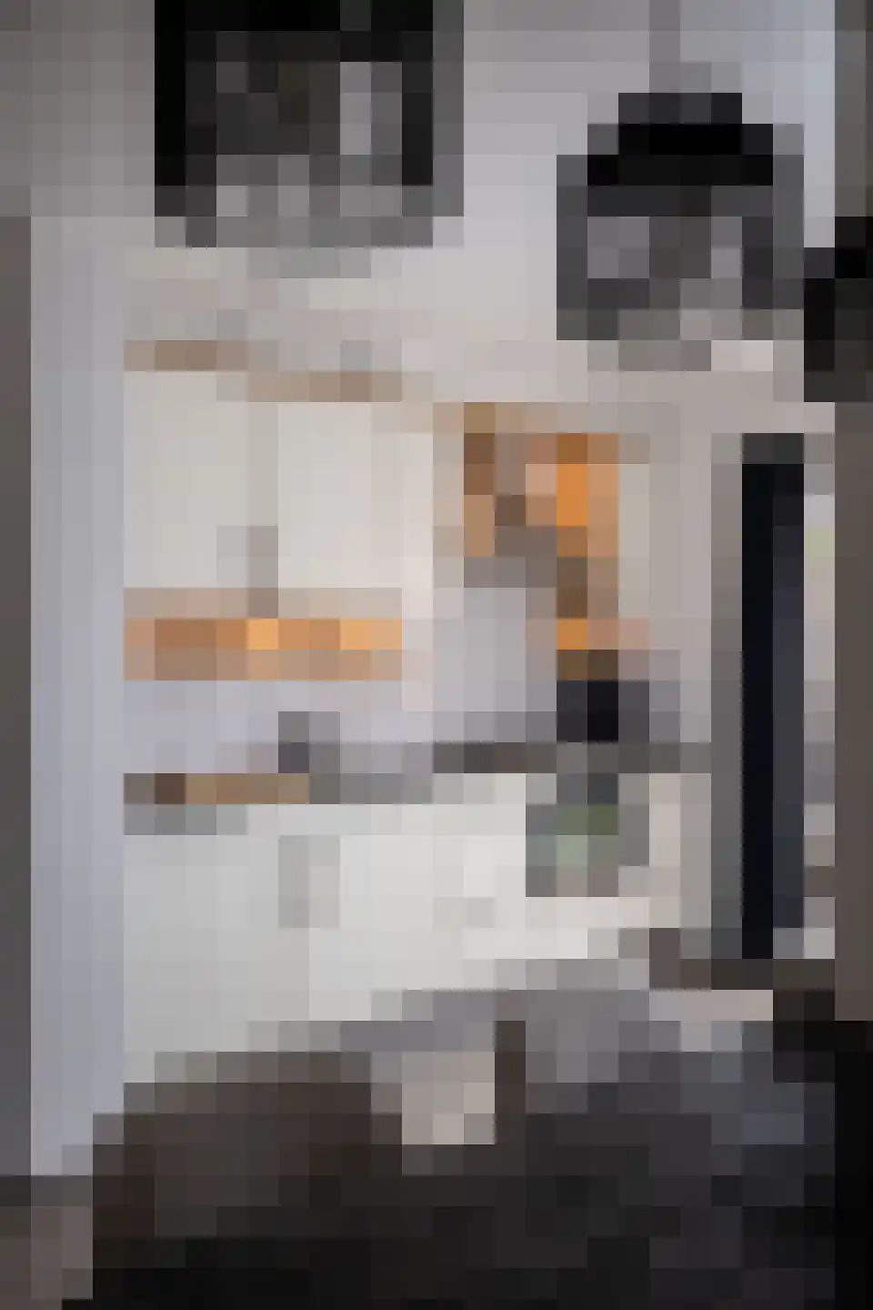 Lavas 4 Hoogkarspel thumbnail 53