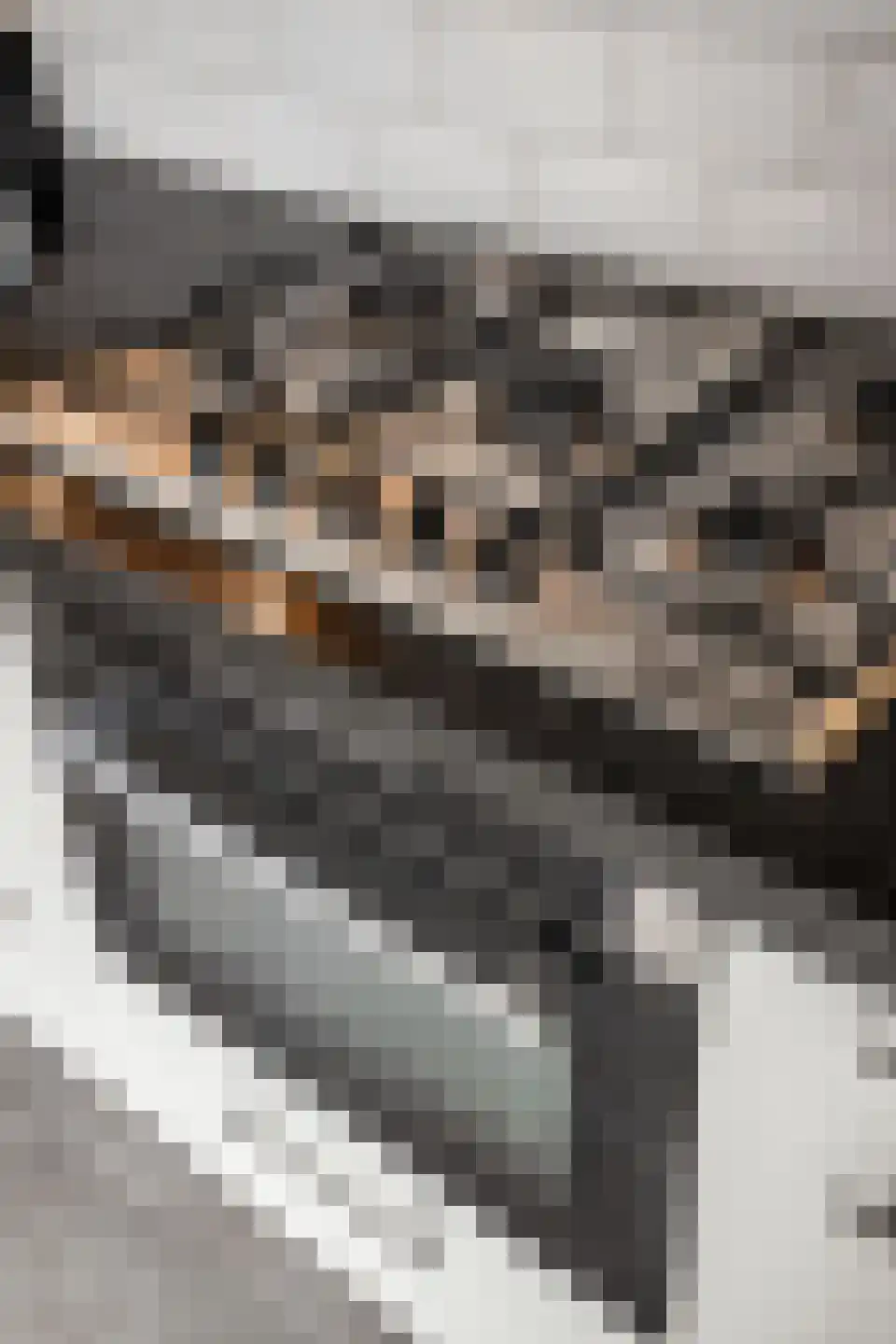 Lavas 4 Hoogkarspel thumbnail 54