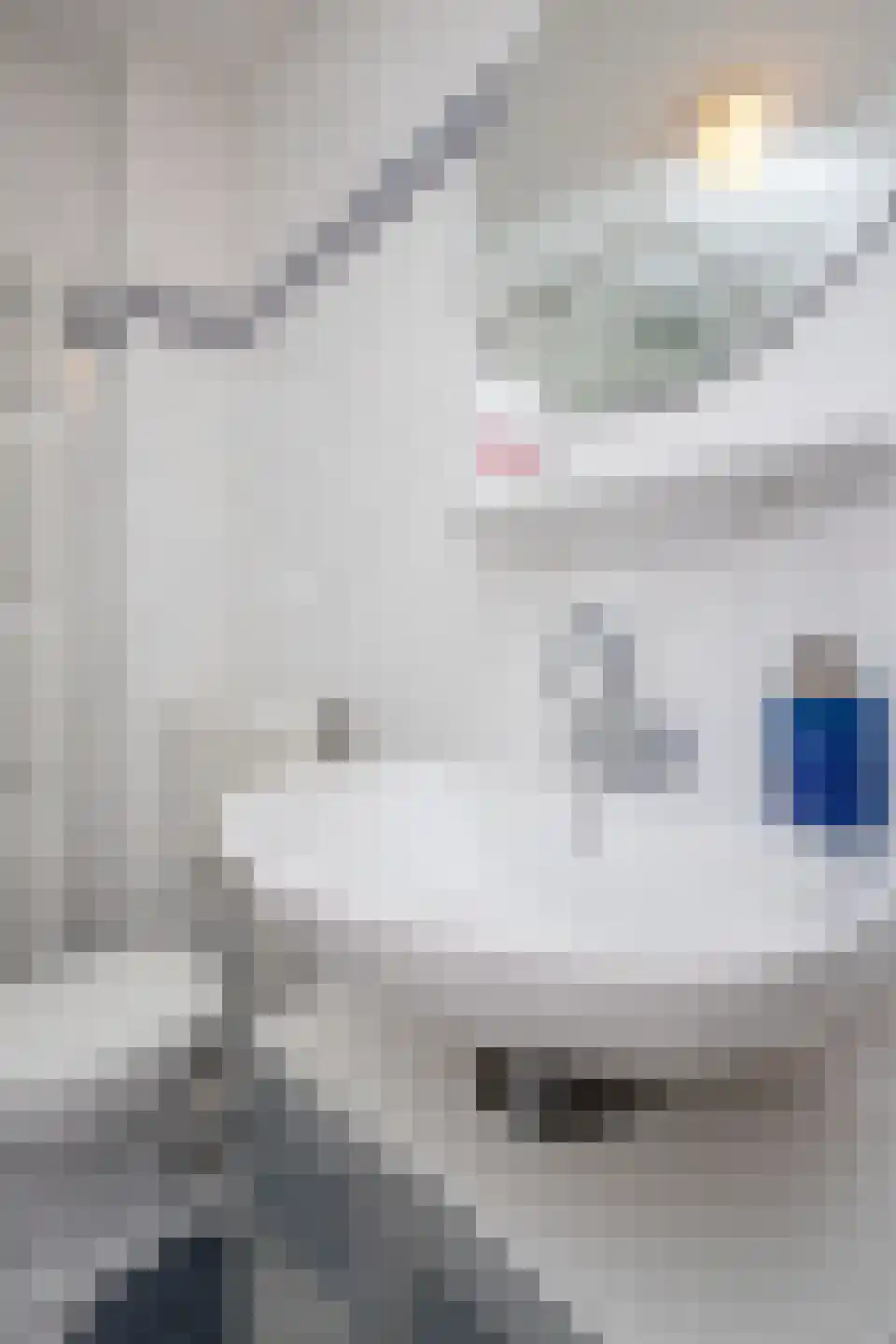 Lavas 4 Hoogkarspel thumbnail 55