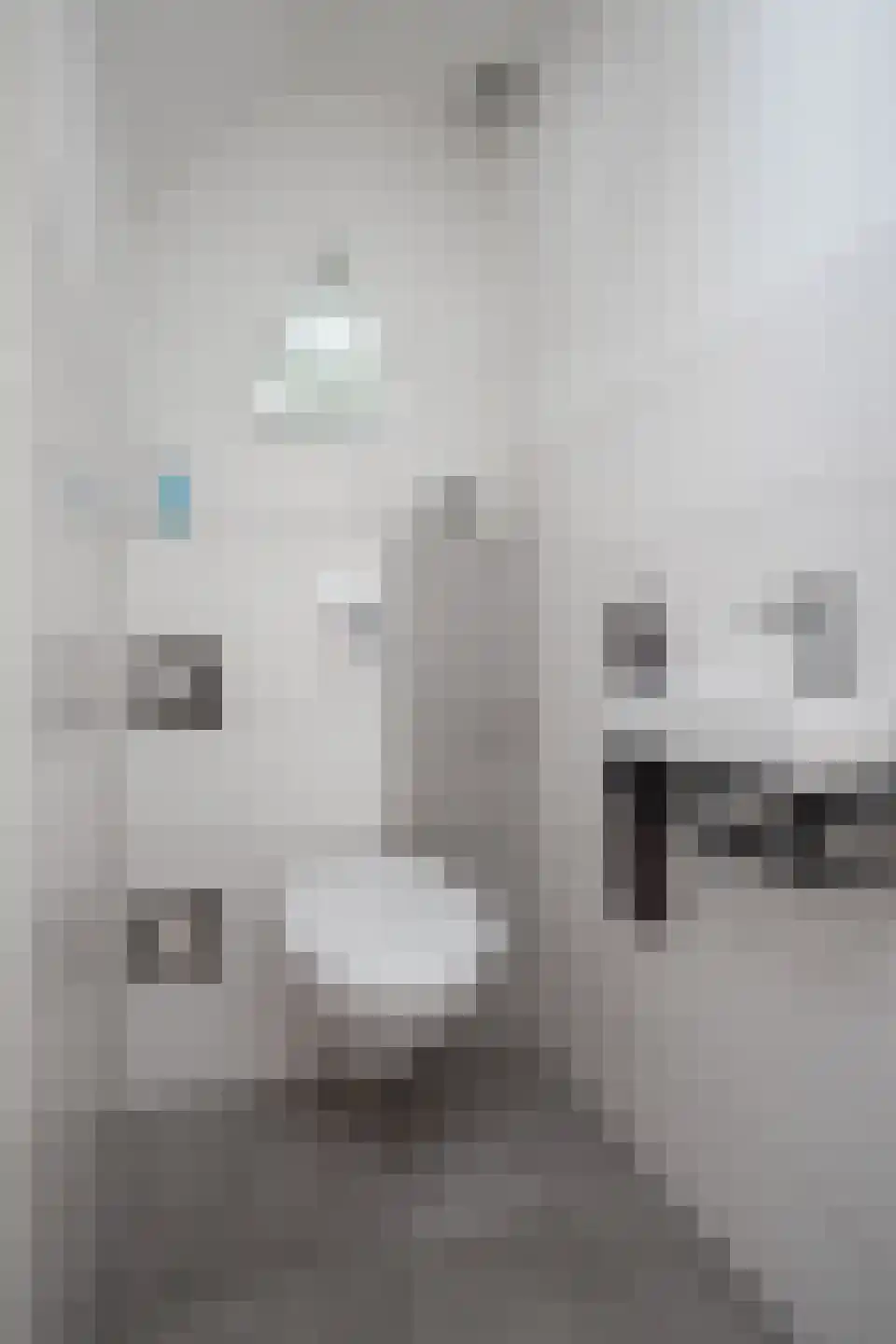 Lavas 9 Hoogkarspel thumbnail 50