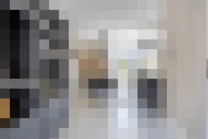 Lavasteen 18 Zevenbergen thumbnail 11