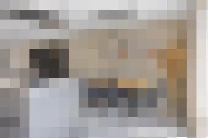 Lavasteen 18 Zevenbergen thumbnail 12