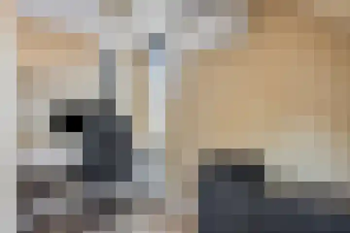 Lavasteen 18 Zevenbergen thumbnail 30