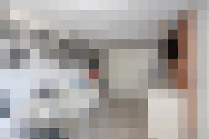 Lavasteen 18 Zevenbergen thumbnail 31