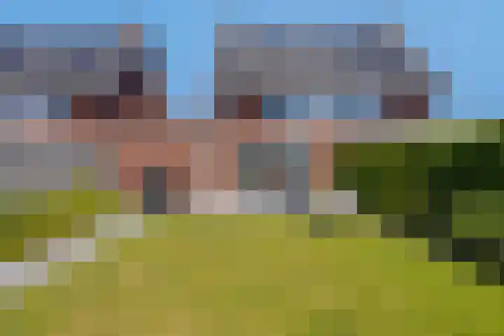 Lavasteen 18 Zevenbergen thumbnail 35