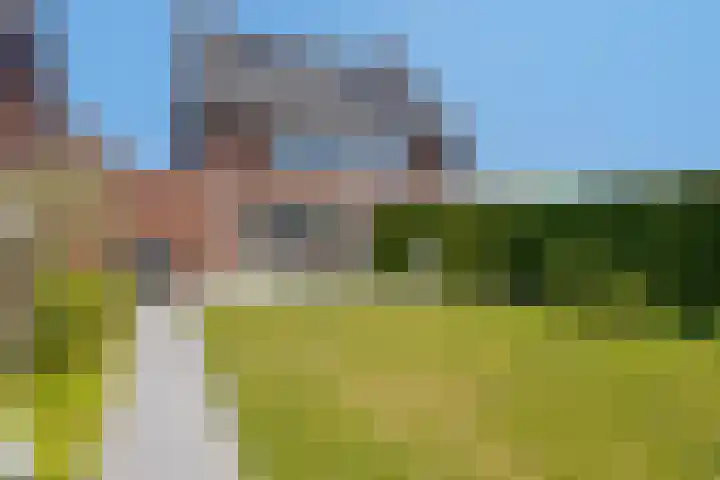 Lavasteen 18 Zevenbergen thumbnail 36
