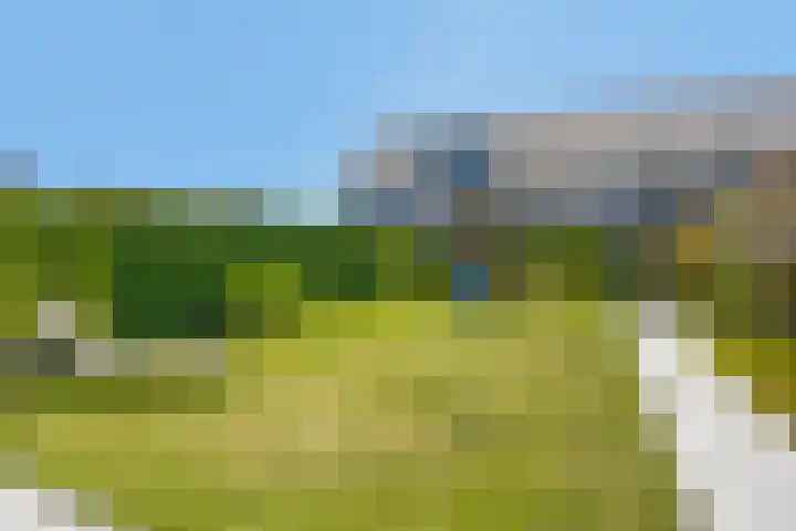 Lavasteen 18 Zevenbergen thumbnail 37