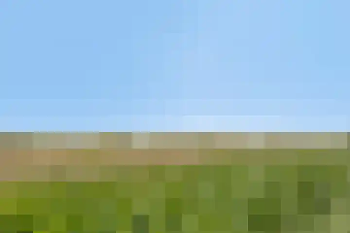 Lavasteen 18 Zevenbergen thumbnail 40