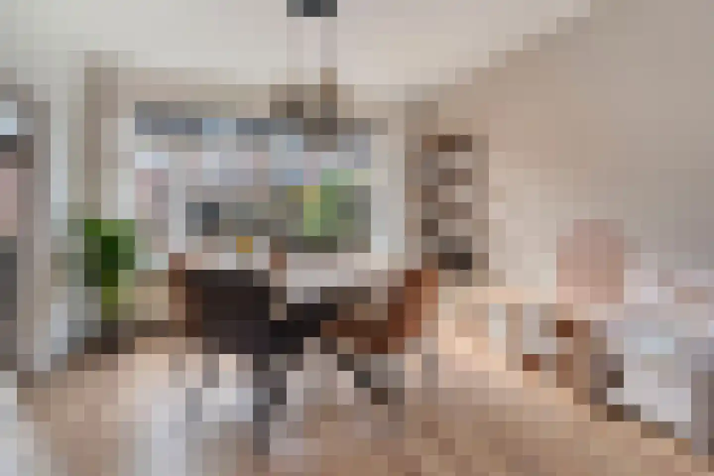 Lavastraat 24 't Harde thumbnail 21