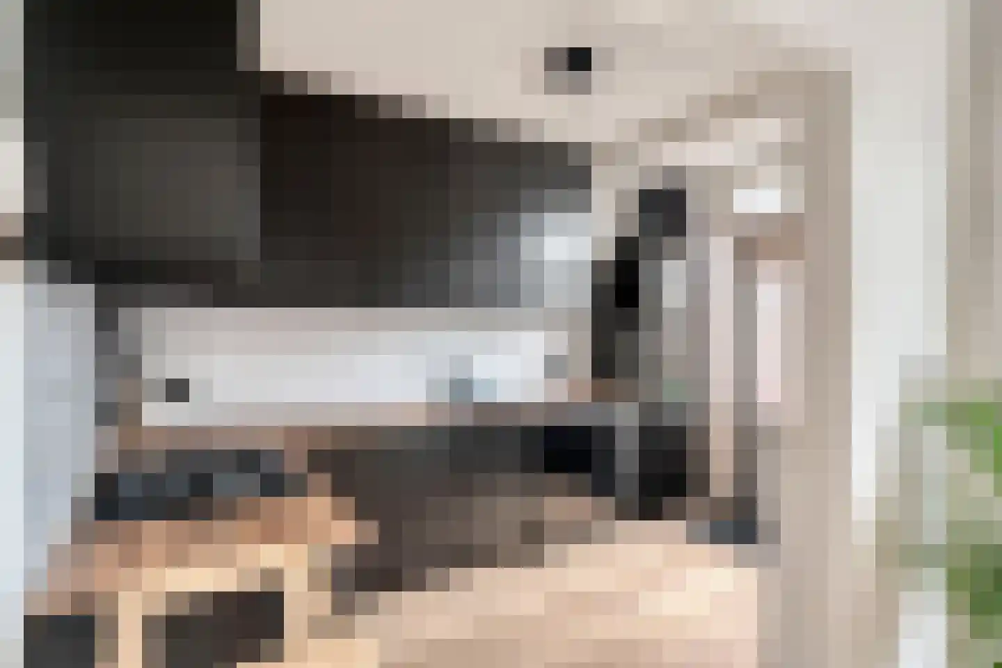 Lavastraat 24 't Harde thumbnail 23