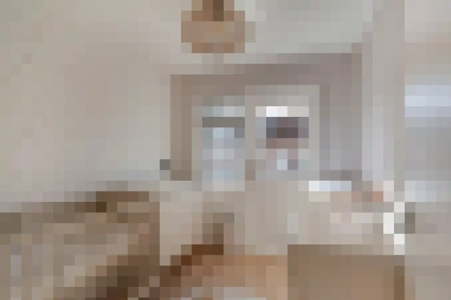 Lavastraat 24 't Harde thumbnail 29