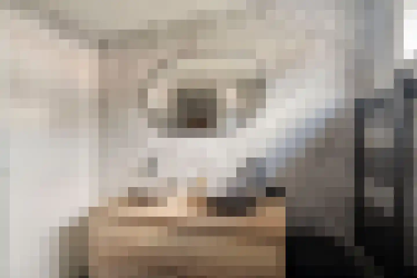 Lavastraat 24 't Harde thumbnail 35