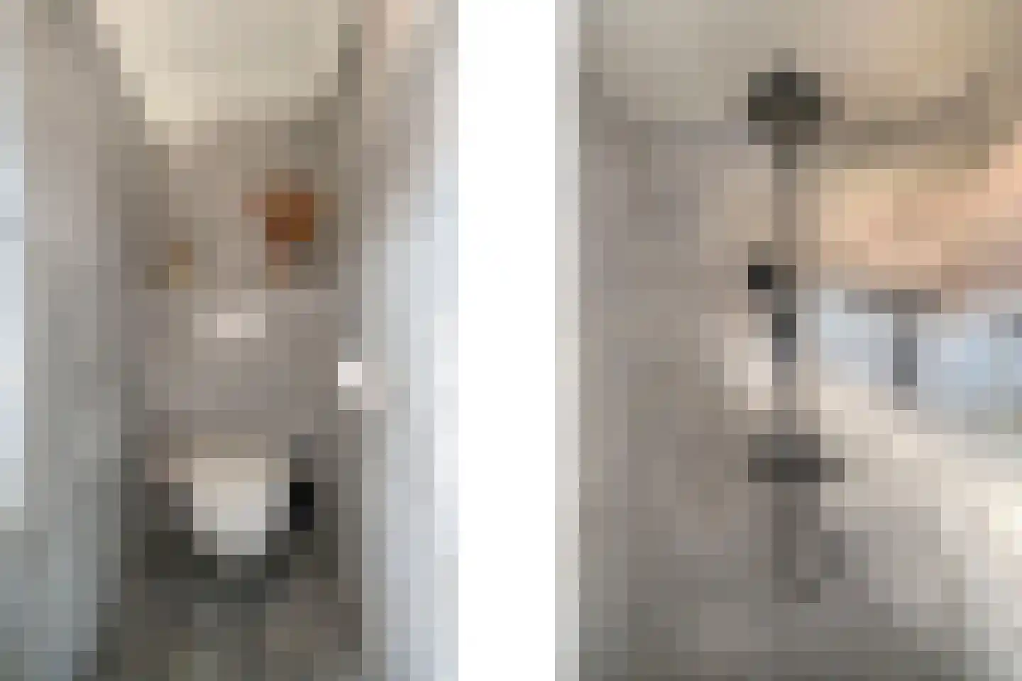 Lavastraat 24 't Harde thumbnail 36