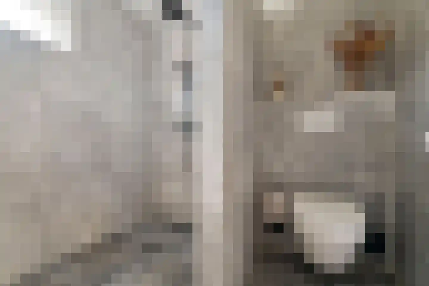 Lavastraat 24 't Harde thumbnail 37