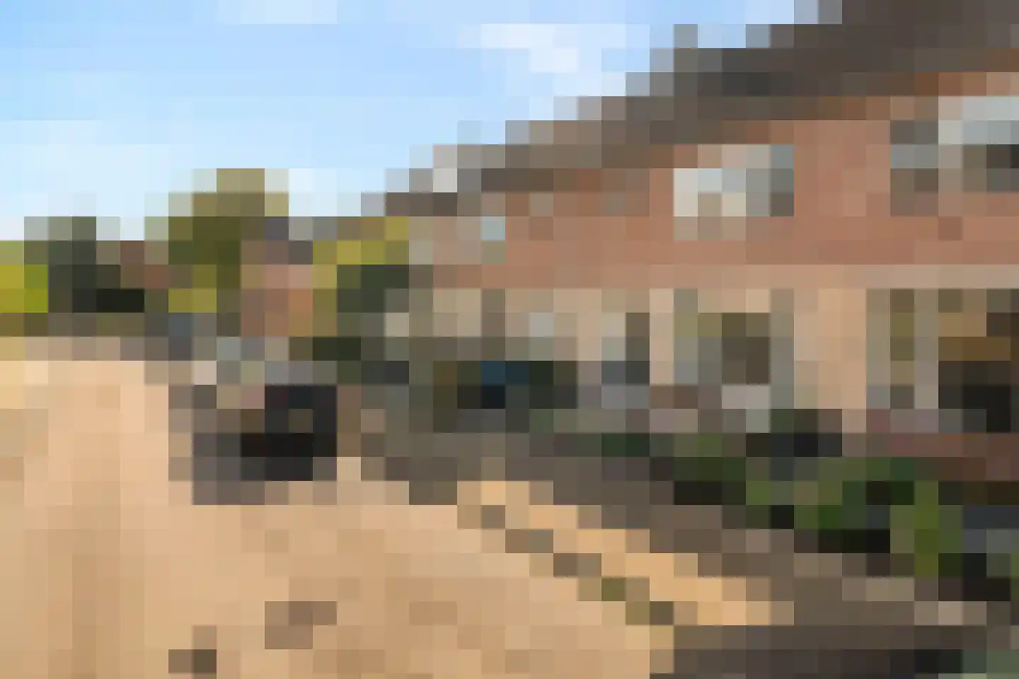 Lavastraat 24 't Harde thumbnail 51