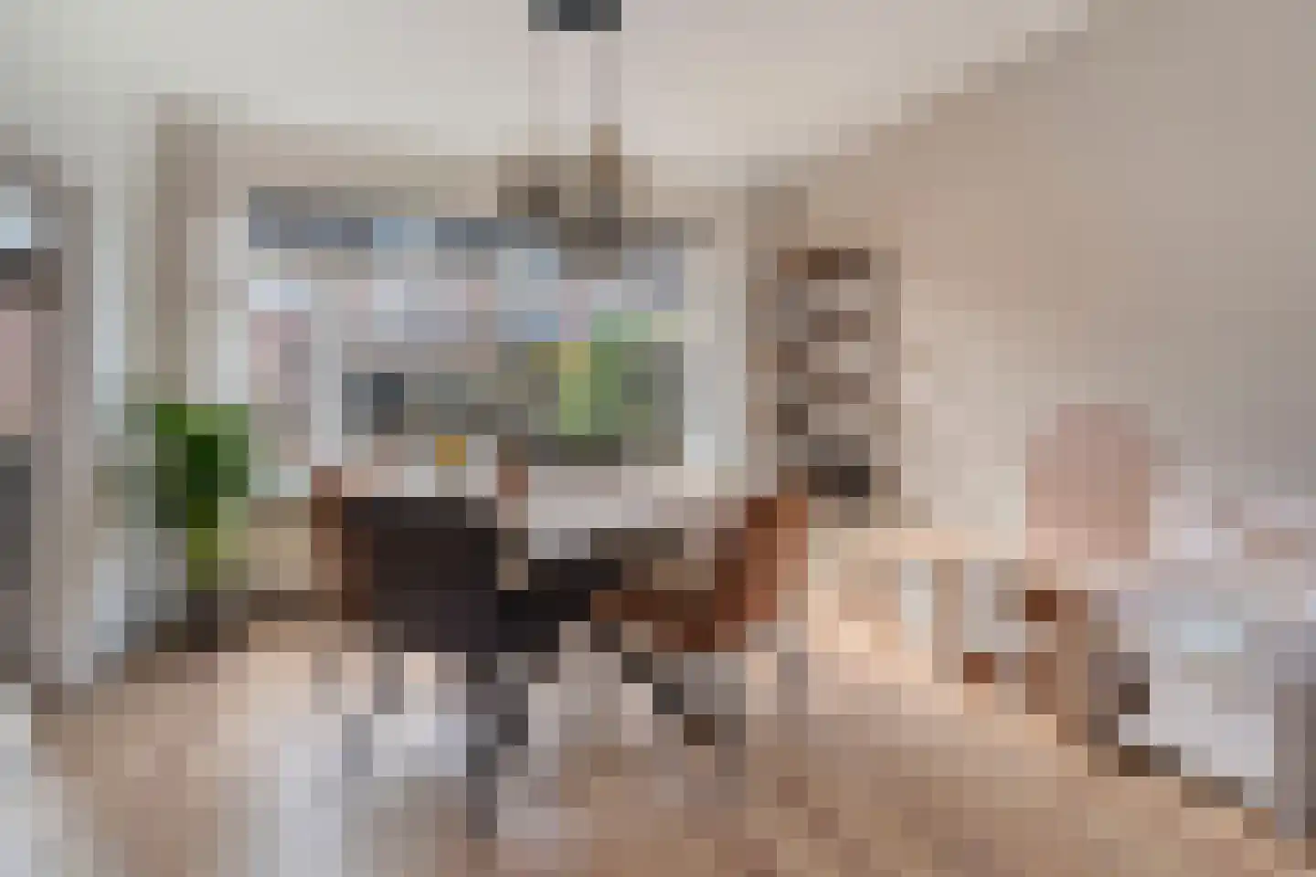 Lavastraat 24 't Harde thumbnail 7