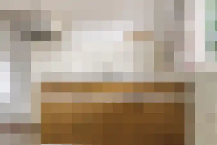 Lavastraat 44 't Harde thumbnail 12