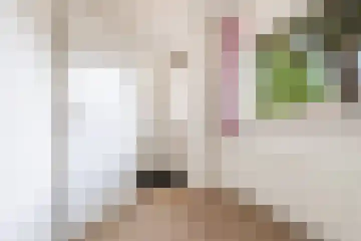 Lavastraat 44 't Harde thumbnail 15