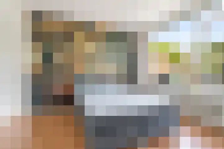 Lavastraat 44 't Harde thumbnail 16