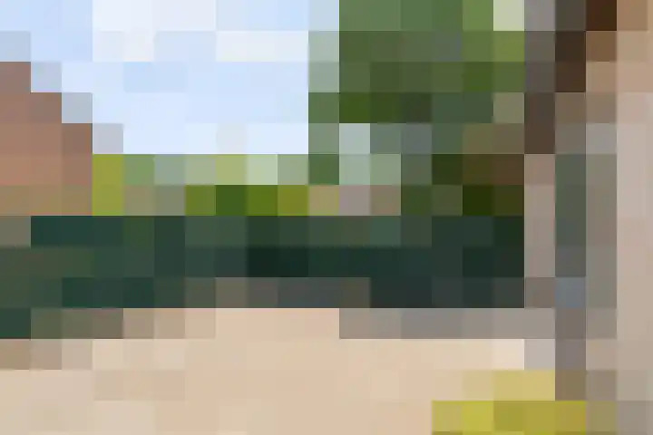 Lavastraat 44 't Harde thumbnail 28