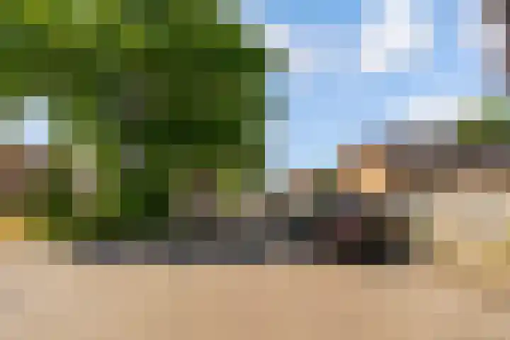 Lavastraat 44 't Harde thumbnail 31