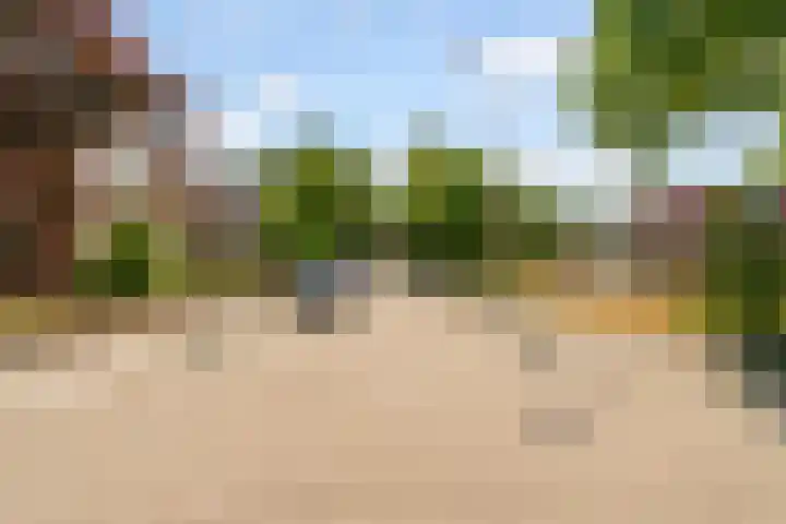 Lavastraat 44 't Harde thumbnail 32