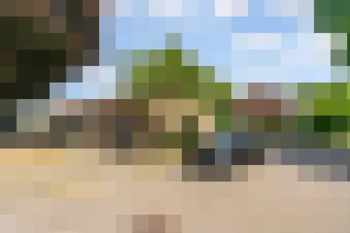 Lavastraat 44 't Harde thumbnail 33