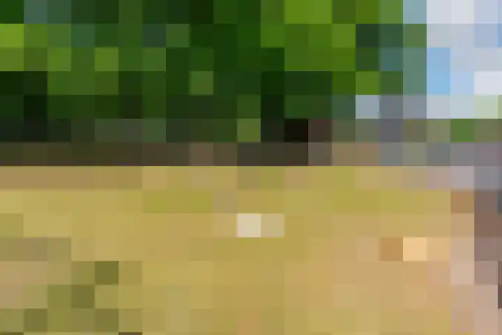 Lavastraat 44 't Harde thumbnail 34