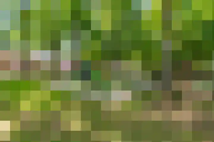 Lavastraat 44 't Harde thumbnail 35