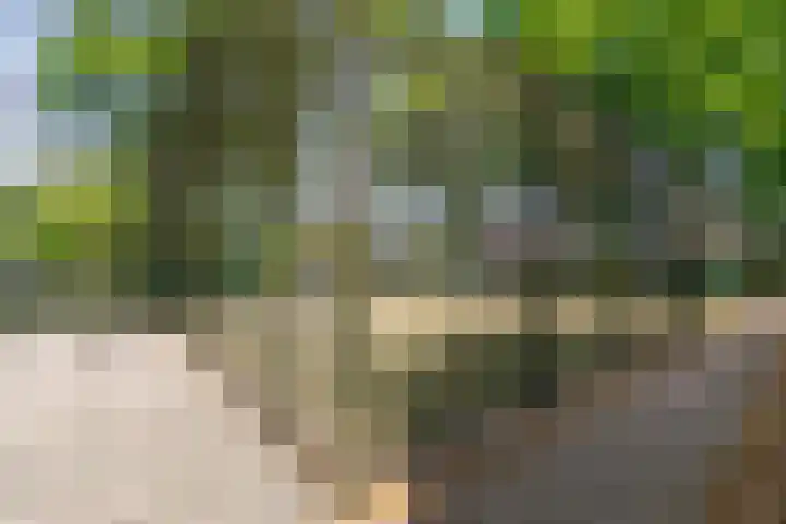 Lavastraat 44 't Harde thumbnail 36
